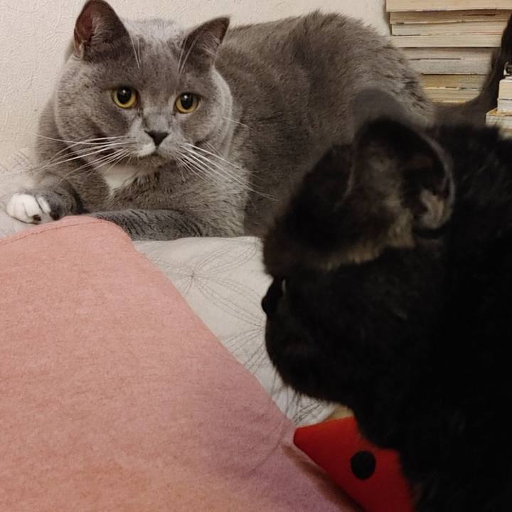 Bcb013e6 43df 4bd9 adba ab13cfcb85ee 1660348773257