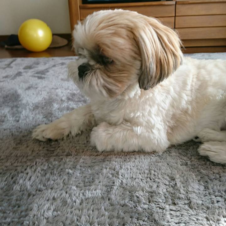 Bcb036d8 4bae 4c80 b8e0 28135903c68e 1548737659112