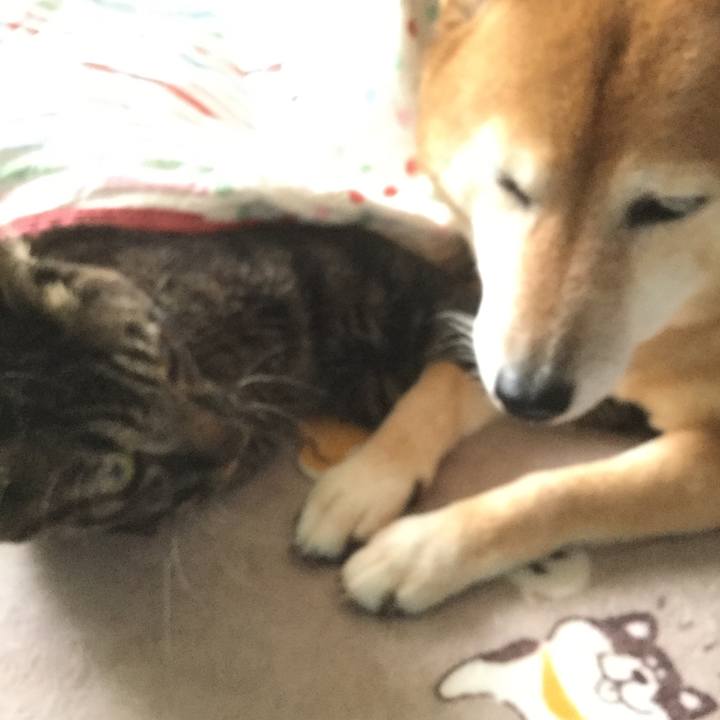 Bcb037ce 77b9 41e6 91e1 6da819a03152 1602462300419