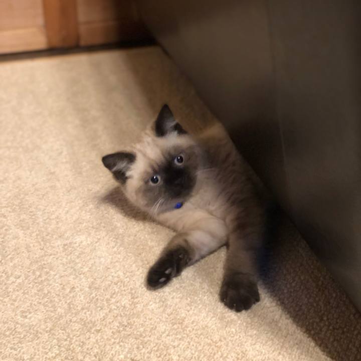 Bcb03ebf ca27 4b6e 8b77 4068f789534a 1589078036686