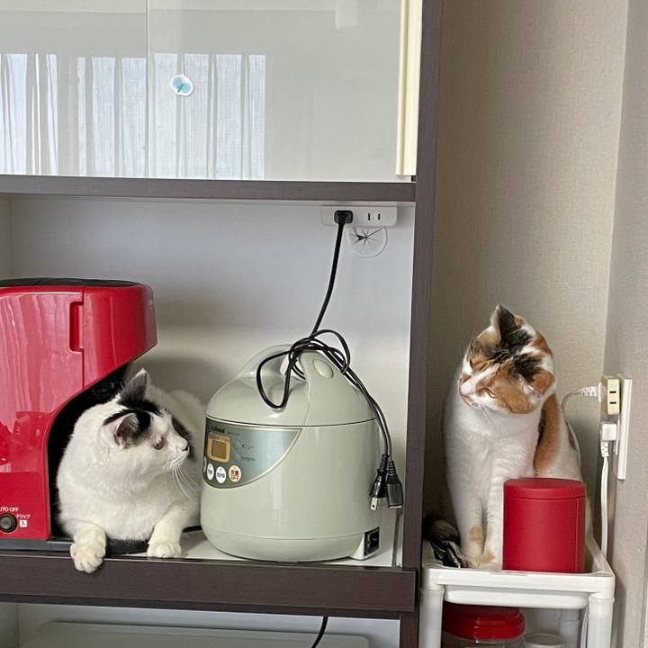 Bcb04aa1 bd44 4f72 99c1 0dc6178cfc65 1609388058199