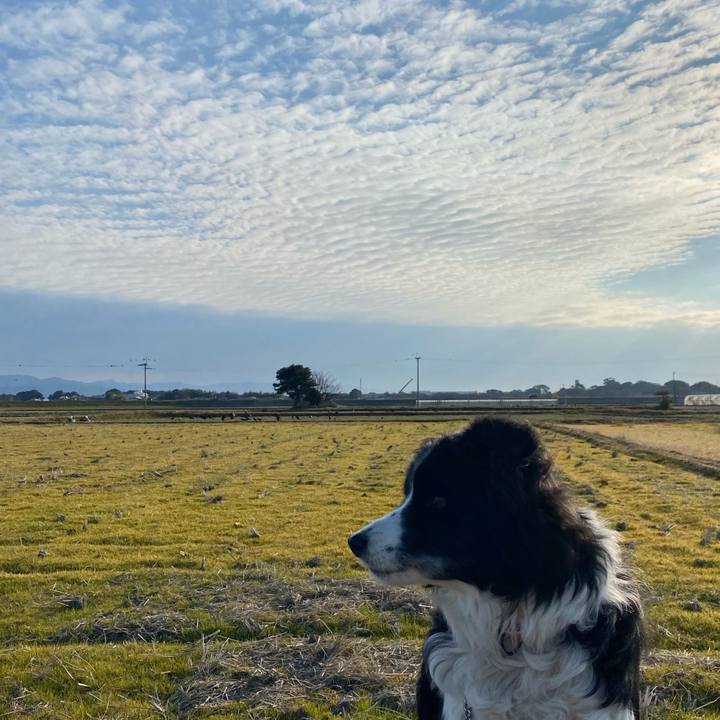 Bcb05cd2 98e4 4b68 88ec 9083139efea6 1642811580822