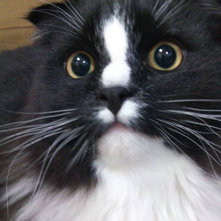 Bcb07ccb 357f 4876 aa40 dcf2d31b4d4b 1652533325941