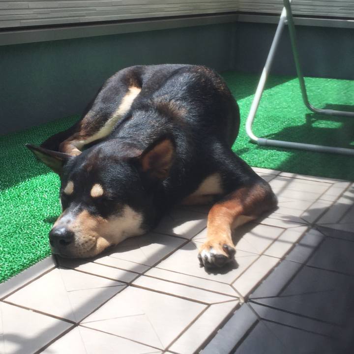 Bcb09df7 4956 48b8 b0c6 a13a5cd282d1 1527387988860