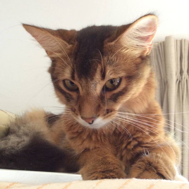 Bcb0cf55 6fa3 47cf 87c8 ef9c1cdff7a0 1567468001954