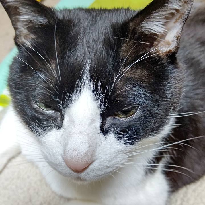 Bcb0dad6 ecfb 4df0 84e5 b266af0d4468 1643232476938