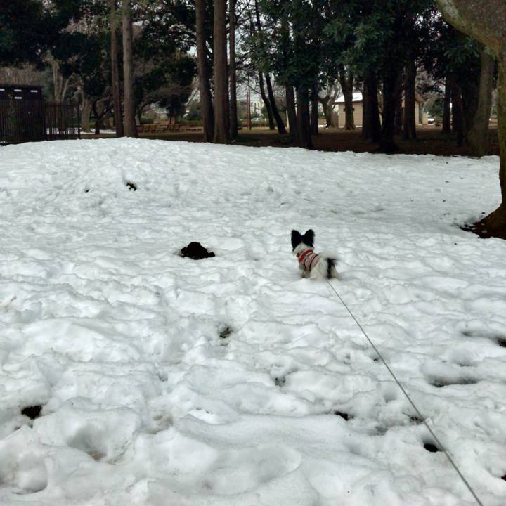 Bcb167ad 2485 4b11 86ee 23e698a981f2 1517486651802