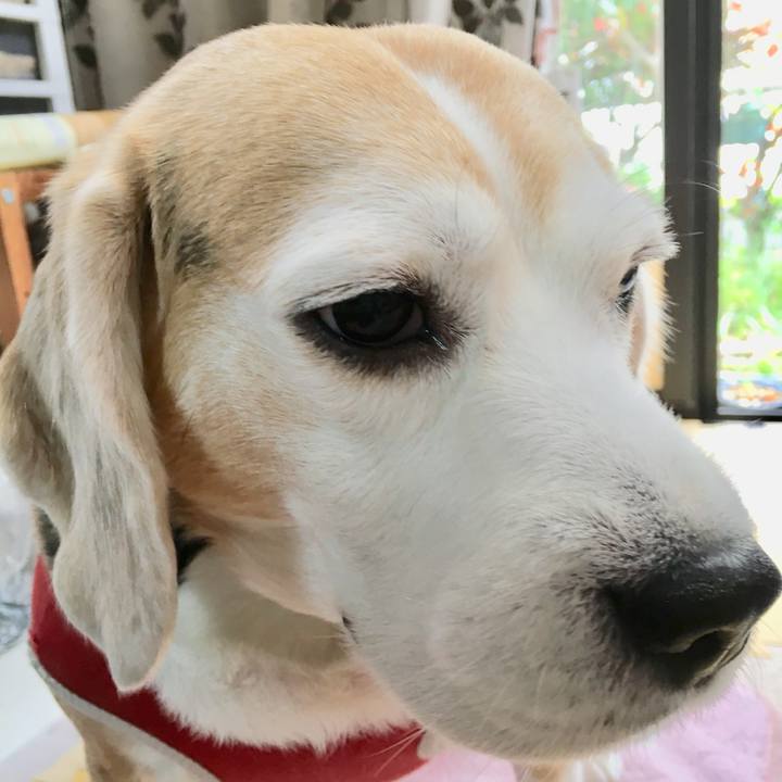 Bcb16fbc 5968 497c 8e33 47a050ac1faf 1746081120880