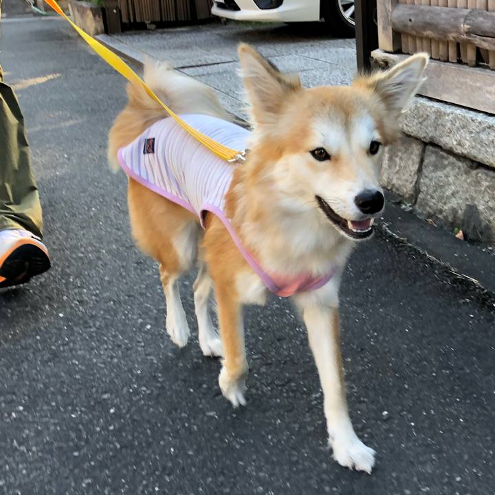 Bcb1740d e4b6 477a a75c e3345846f8da 1541243668811