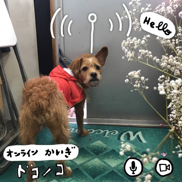 Bcb1a753 2cff 472a 92d8 5844fd1148eb 1592545838467