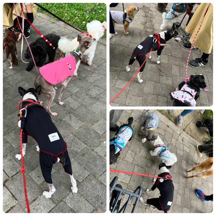 Bcb1e9fa d5e4 4626 aee3 c38d80611b06 1655628893107