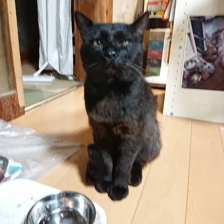 Bcb245a8 f7c7 4a4a 898a 916299fe6c06 1625742814418