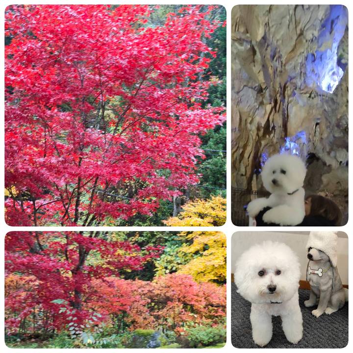 Bcb2ed3f db17 481e 9054 e98b2b8cda8d 1762690650645