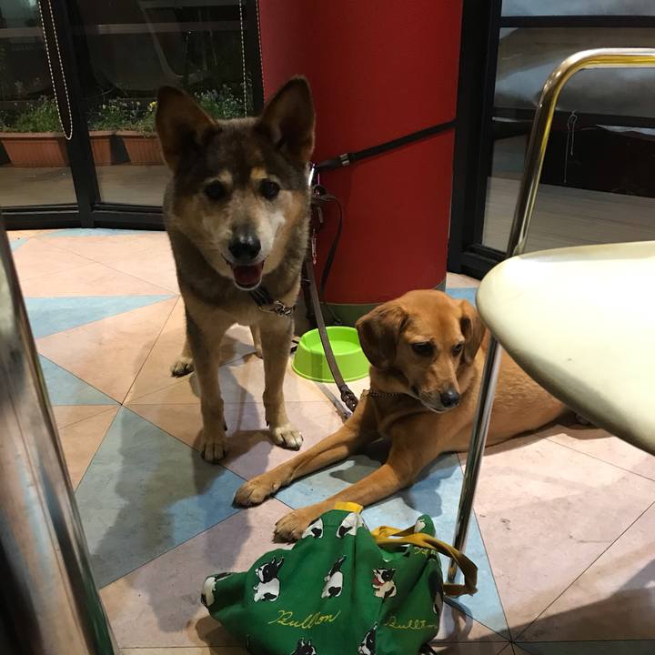 Bcb2f23b 3115 468e a576 5d7a70431027 1559828592985