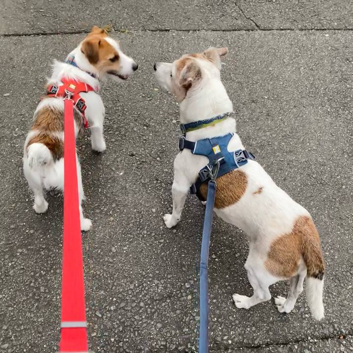 Bcb31fbe ef9f 431a b96a 4e80459926a6 1665090004457