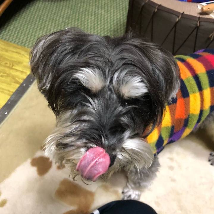 Bcb39564 5c2b 48c1 a870 76c97f245a70 1518189150045