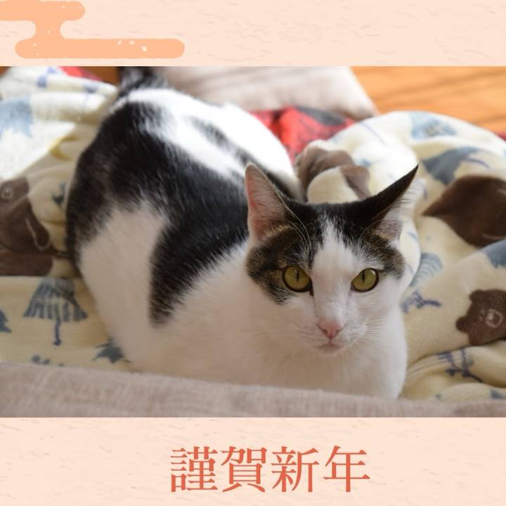 Bcb3b678 6457 4f40 a57d 57b41a9d2000 1735900005725