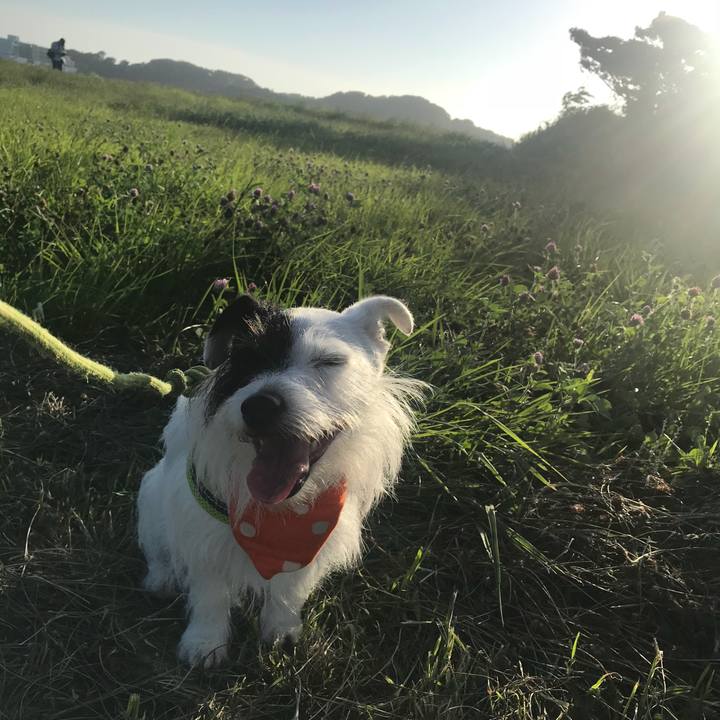 Bcb3cd4b a59d 40a2 918d d4ea83295dd0 1530523281616