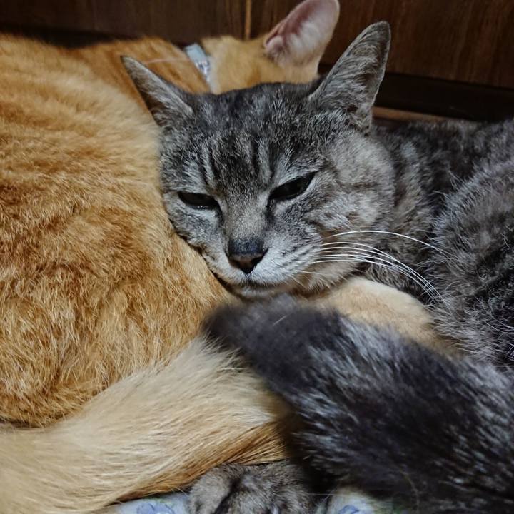 Bcb40c67 6016 468b 800c 39ad3792d509 1588249066396