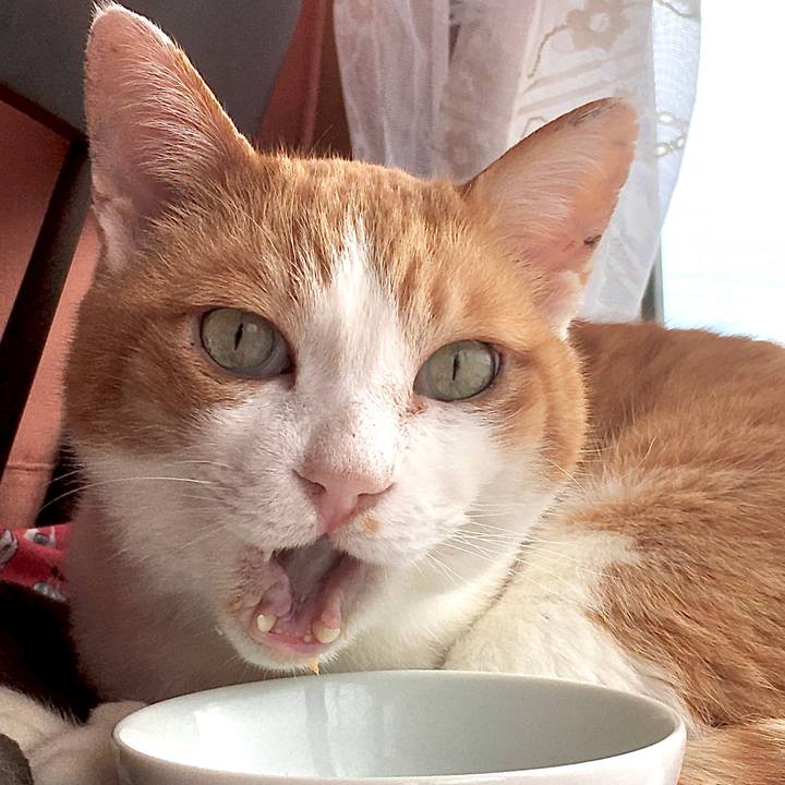 Bcb411f3 863c 4772 8d3e e018b379ea31 1582785875508