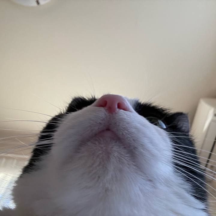 Bcb44bbb bbc2 47aa 8397 6870d8c93ce0 1767183034206