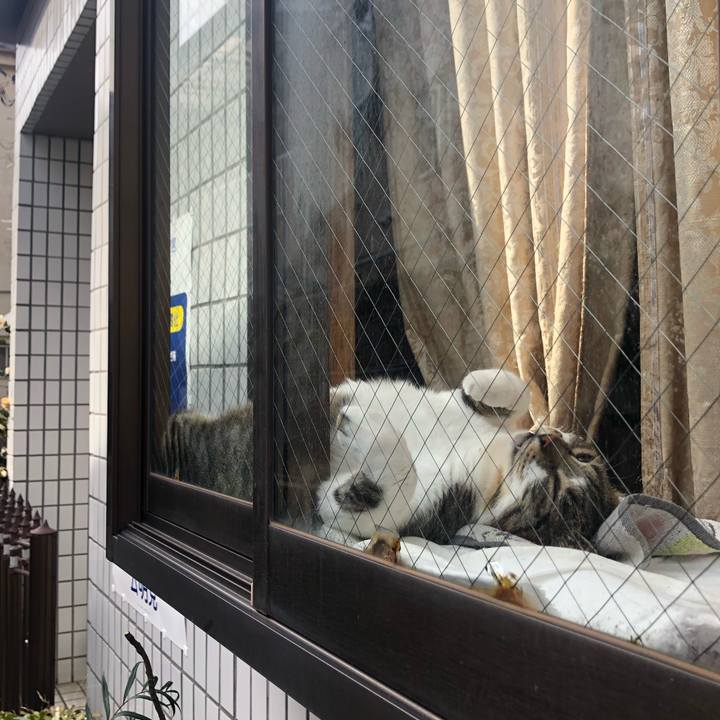 Bcb45b78 3654 47b9 9ab1 64039ed89617 1585409271713