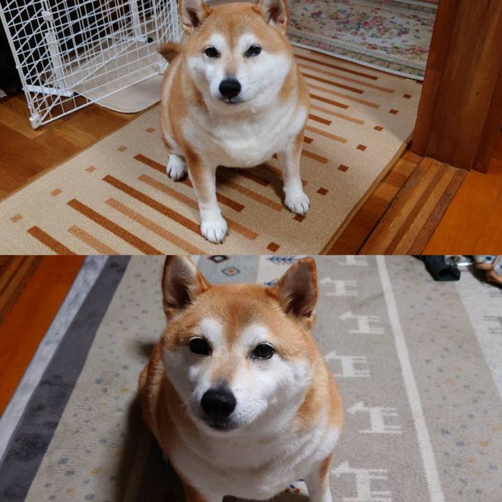 Bcb4d05d c8f9 42a7 9fae 093bc704b907 1675164472910