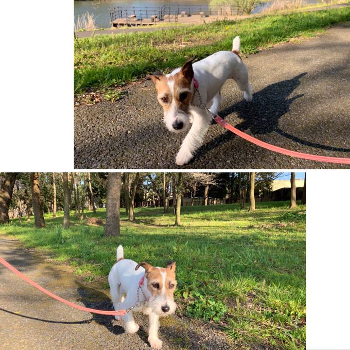 Bcb506d2 2f37 40b7 aad4 e63794c873ab 1586164901576