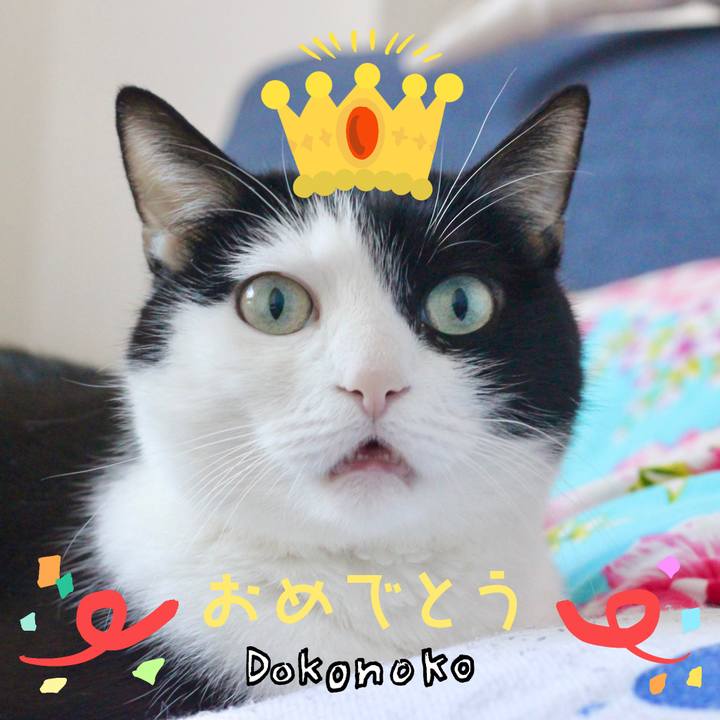 Bcb55259 f761 42ab af9e 0f5515b7cf38 1685963067618