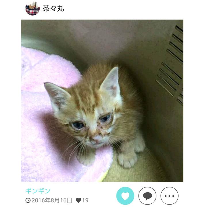 Bcb5671e 5afa 4710 a9ce d306e800f96a 1559830328808