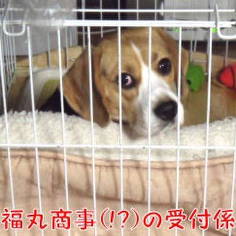 Bcb571b1 efc2 43a7 880c 221c0533ff45 1711151334771