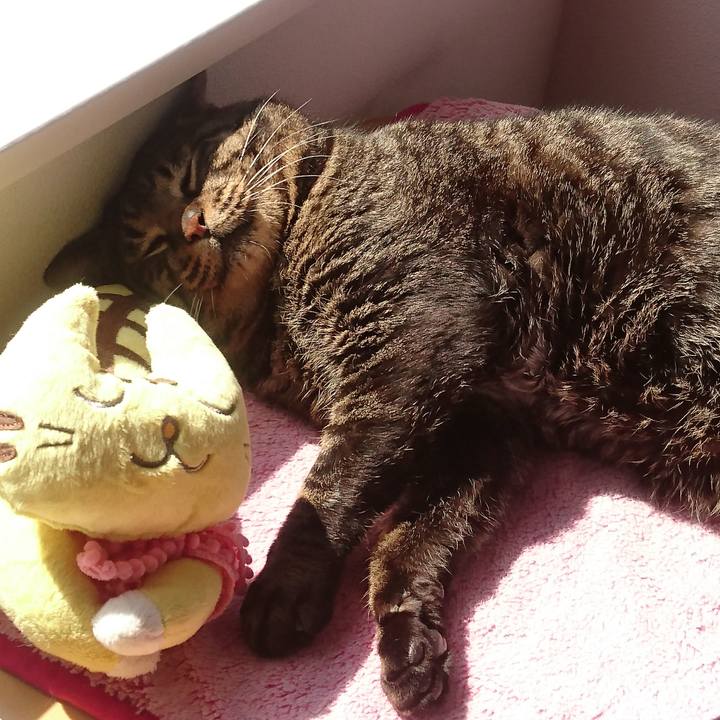 Bcb5892a ec85 4ac7 bce0 a86a1d2c1d96 1521863832883