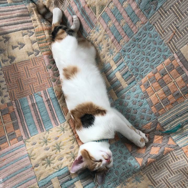 Bcb5aa26 8cdc 419b 8c37 de072e7c2565 1567229477270