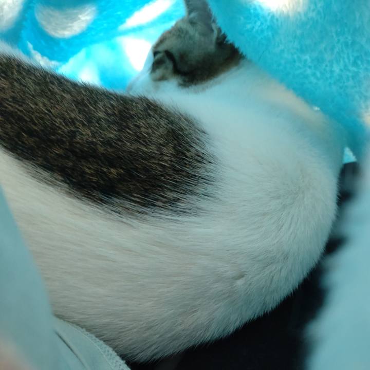 Bcb5b398 1679 4cda 9984 59f28577247b 1651553988619