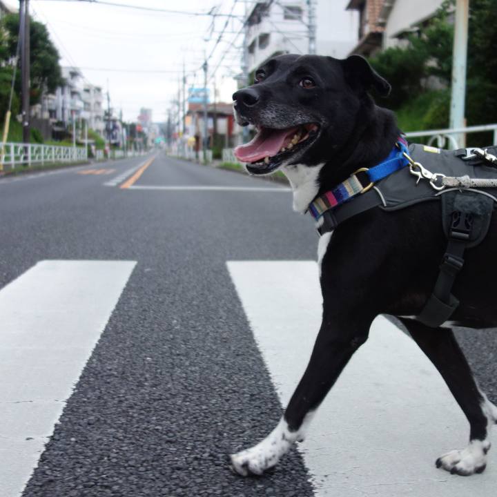 Bcb5bc8a abb8 47f9 8e7c a4744abd3313 1657409764529