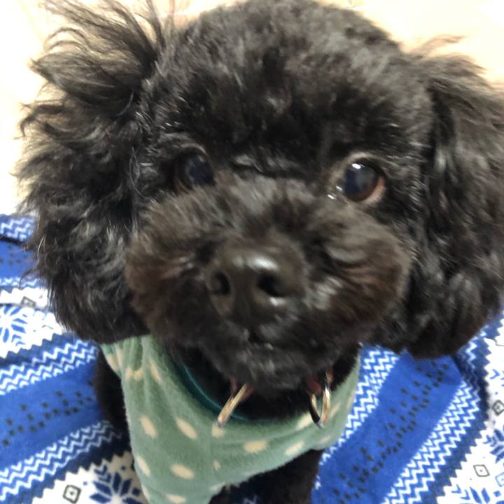 Bcb62717 adb6 4366 a009 effc58d93ddf 1579706306119