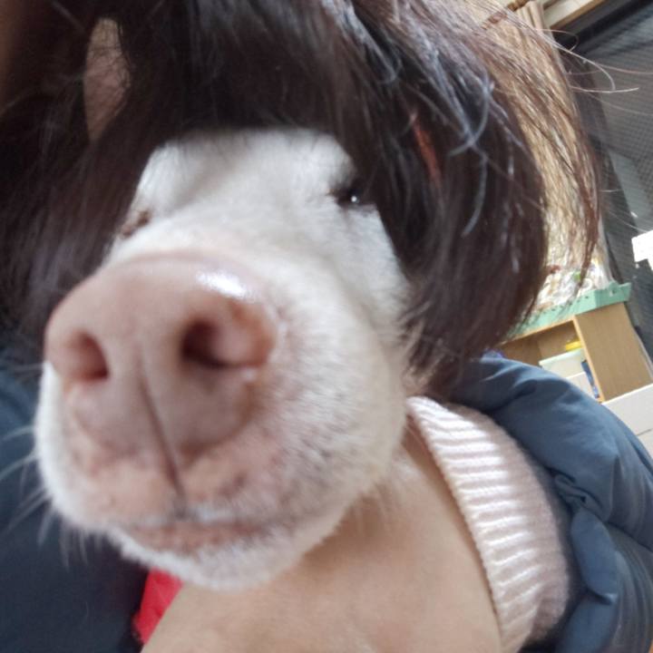 Bcb63509 4493 4161 a585 4468cc55dfe5 1575959127384