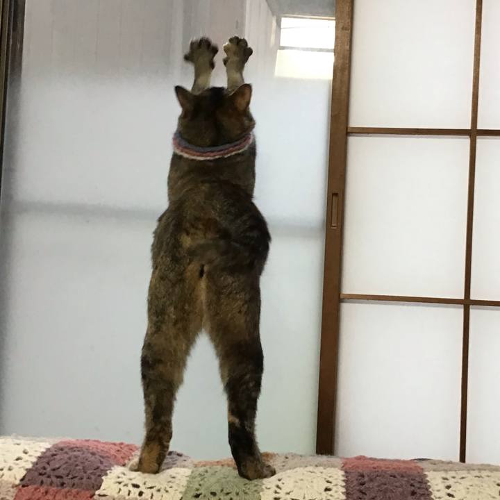 Bcb637f2 e12f 468b befe 48d672463e75 1621499851525