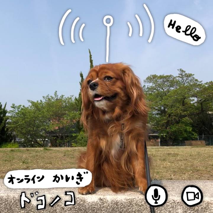 Bcb63fa0 2989 4f31 adba 8ed95983efd7 1590703610524