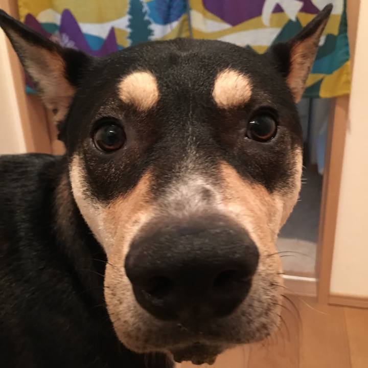 Bcb6aa72 2e8c 4a86 b1b2 3c3984c27ab8 1533002998018