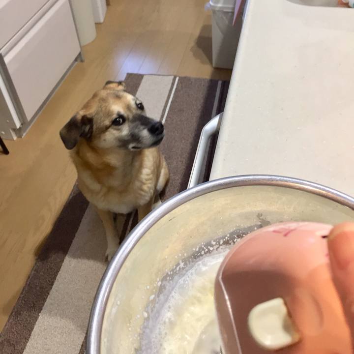 Bcb6d449 5f87 4c8a 8302 7701018bc7db 1518409611277