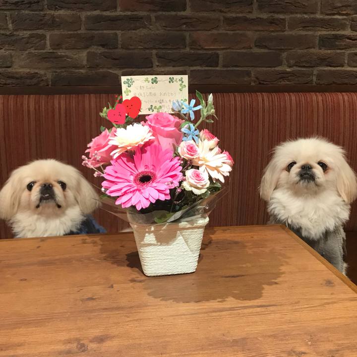 Bcb6f2de 083f 4d73 9c12 35f813008565 1512639335512