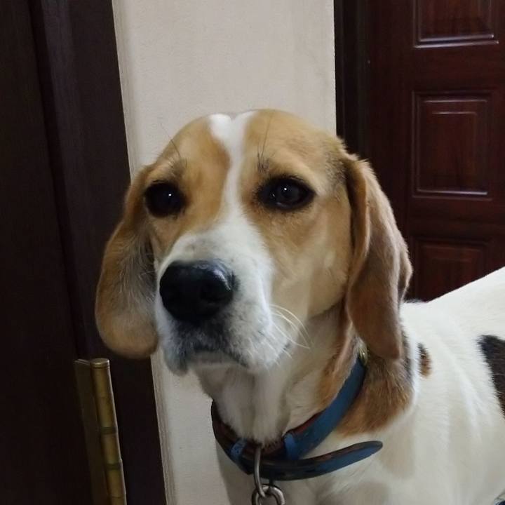 Bcb6fb6d a5c8 4276 80b1 76225a2aa8d8 1607407828285