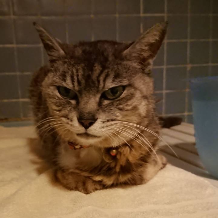 Bcb7117b 8acc 42c4 b923 64f43d1fe0bb 1596018007085