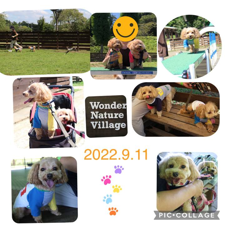 Bcb72887 426b 4f80 b9ad bdd54ad46fa1 1662903829299