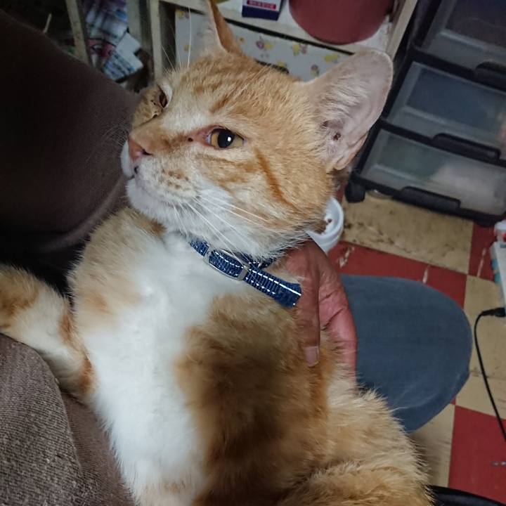 Bcb79fb1 df4b 4662 8f06 1b3cd6262305 1559076955055