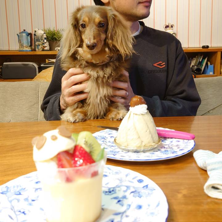 Bcb7a68c 77bb 4c27 9d86 2342a700958f 1654608573189