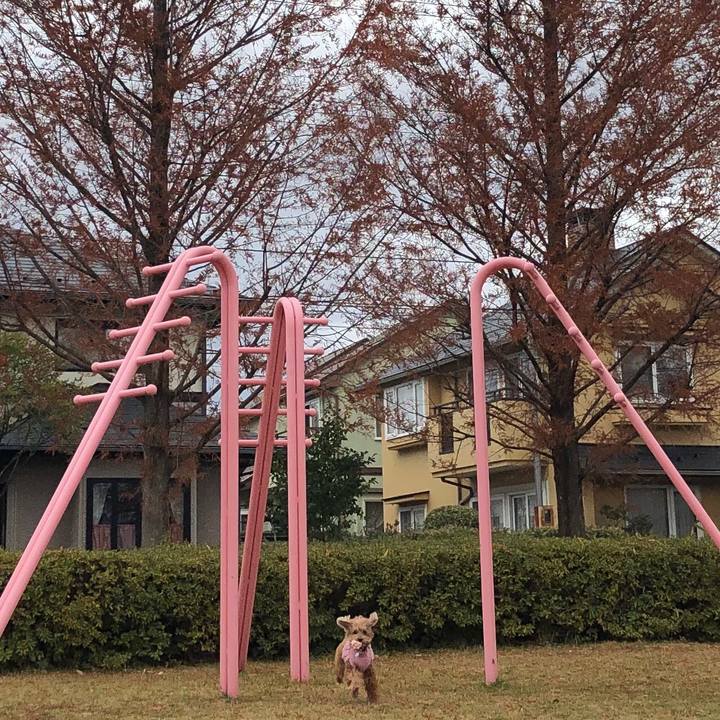 Bcb7ae43 8811 4eb5 aba8 53a90f419fe6 1574904861506