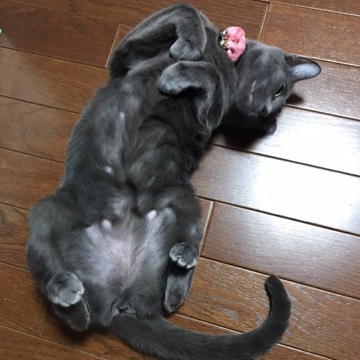 Bcb7d8ce ebef 401e 8b48 a03d32df6357 1558446714457