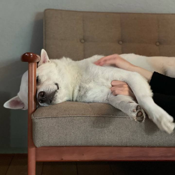 Bcb7e972 cd9a 409e adfc 76db695d90f6 1608040357063